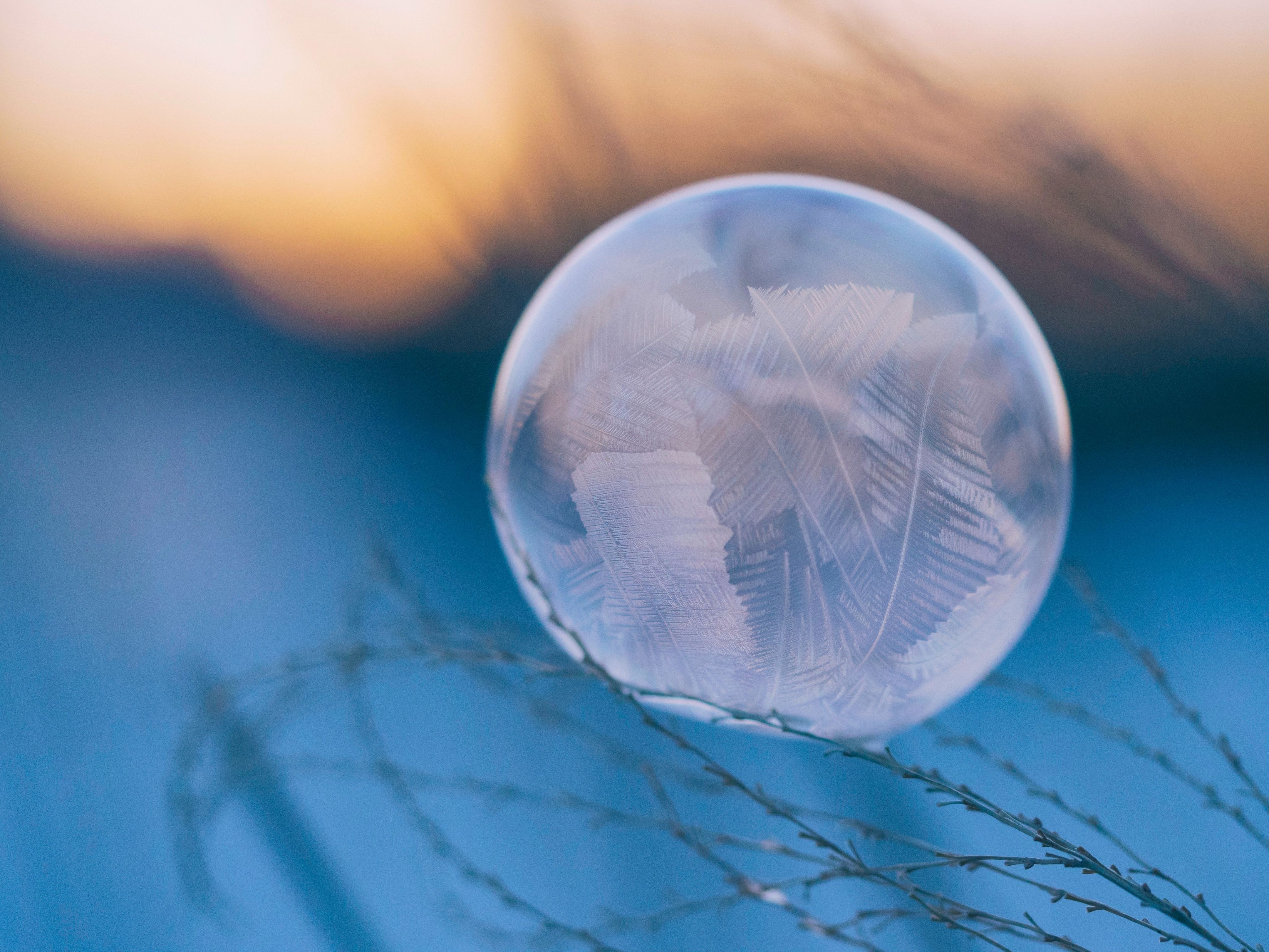 a frozen water droplet on leaves in front of a blurry sunset background